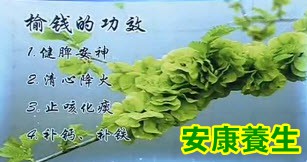 榆钱的功效