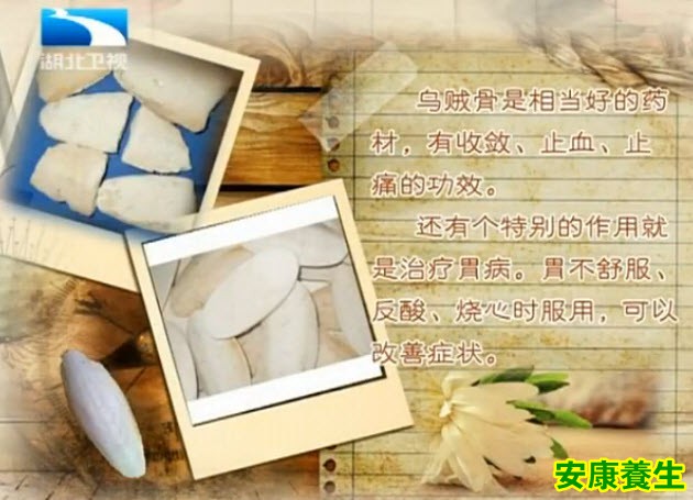 乌贼骨