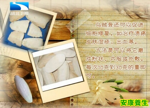 乌贼骨