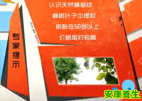 樟脑球