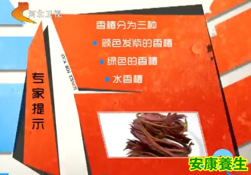 香椿