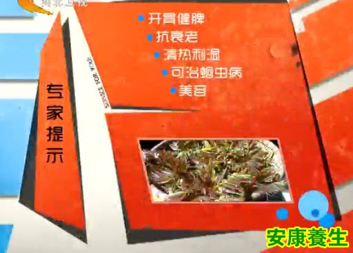 香椿的功效