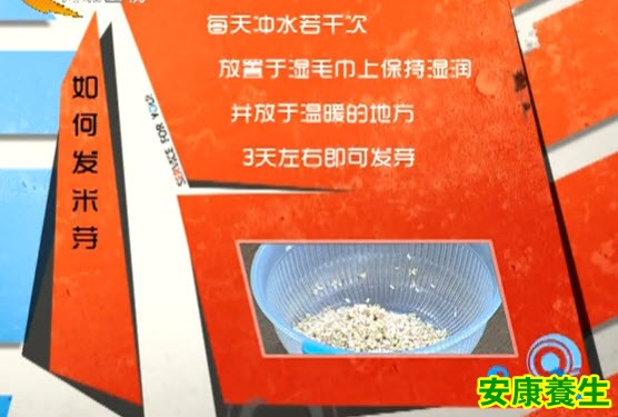 糙米芽怎么发