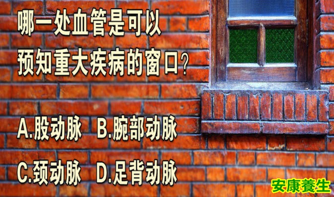 血管系统对于人体的重要性