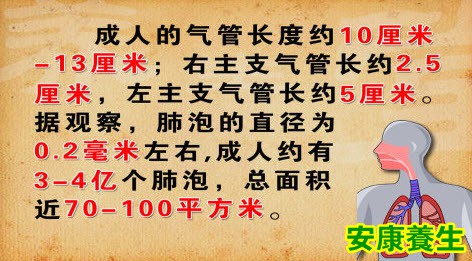 咳血说明什么