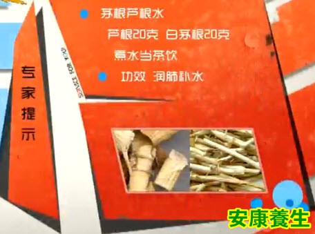 茅根芦根水