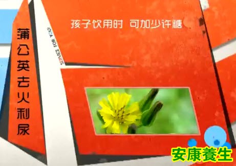 蒲公英的功效