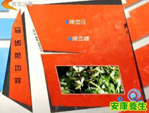 马齿苋的功效