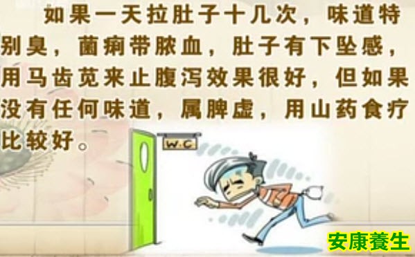 马齿苋的功效