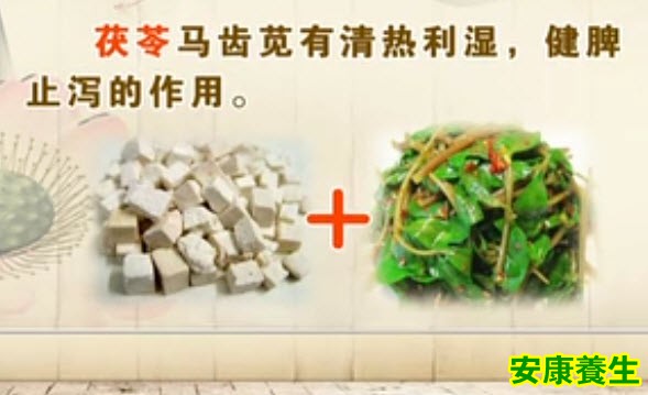 马齿苋的功效