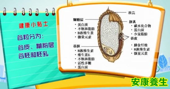 谷物的营养