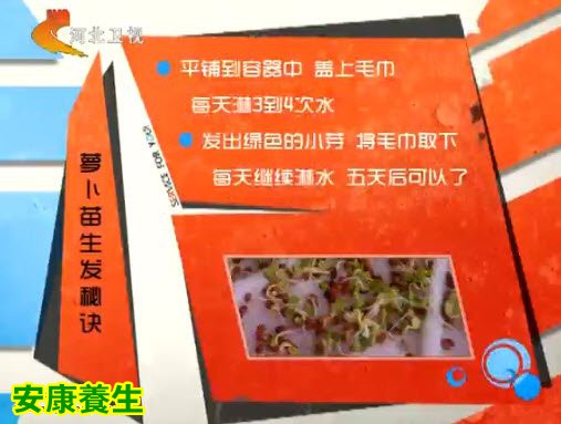 简单快速发萝卜苗