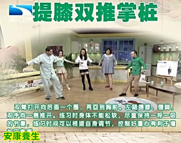 提膝双推掌桩