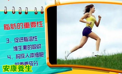 脂肪的重要性