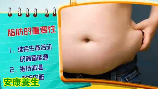 脂肪的重要性