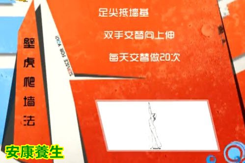 壁虎爬墙治肩周炎