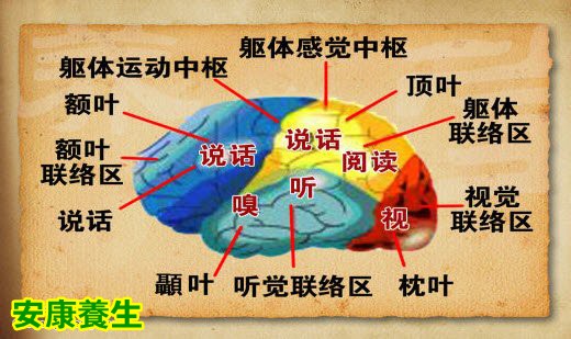 大脑越用越聪明