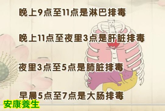 早上的5点到7点是肠道最活跃的时间