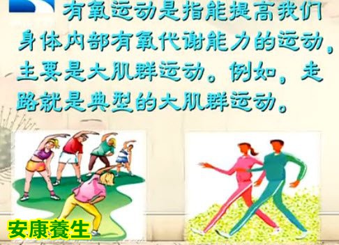 有氧运动的特征