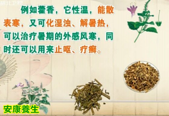 藿香的功效