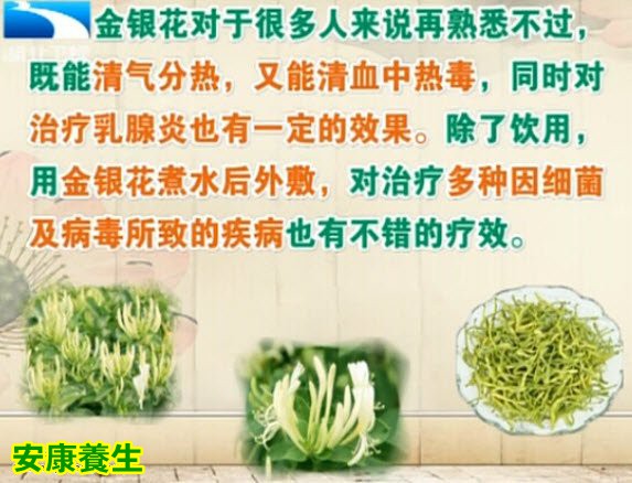 金银花的功效