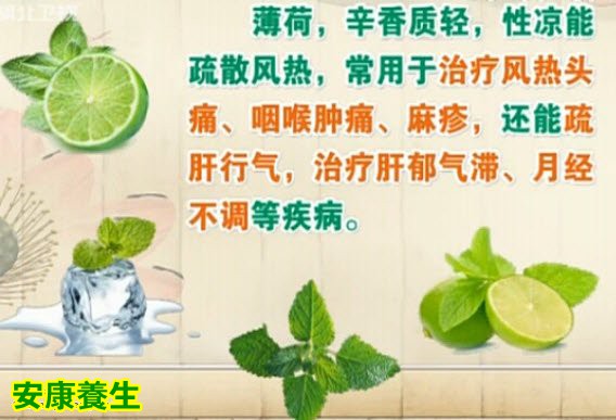 薄荷叶可以贴在太阳穴能醒脑