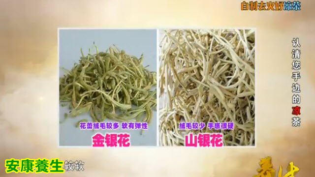 金银花山银花区别