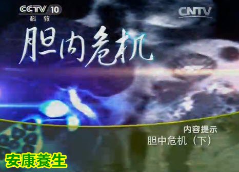 健康之路-胆中危机(下)