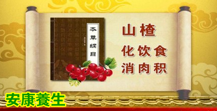 养生堂20150216视频: