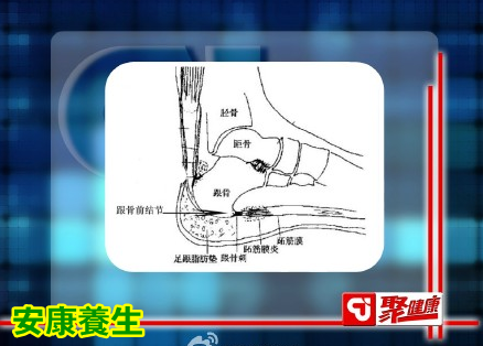 聚健康20150216视频和笔记: