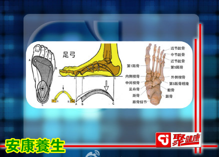 聚健康20150216视频和笔记:
