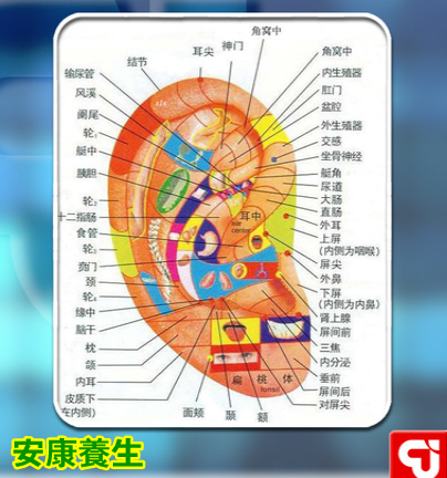 聚健康20150325视频和笔记:远离癌症怎么吃(8)