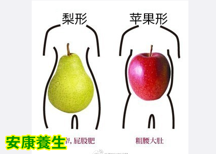聚健康20150409视频和笔记:《享“瘦”生活》