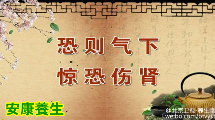 养生堂20150414视频笔记:肾气虚的表现 肾阴虚和肾阳虚的区别 补肾的食材