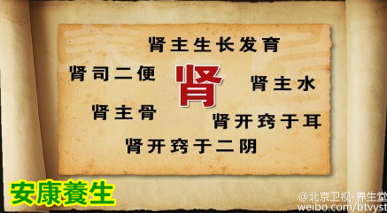 养生堂20150414视频笔记:肾气虚的表现 肾阴虚和肾阳虚的区别 补肾的食材