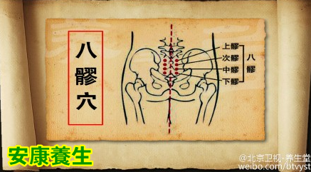 养生堂20150414视频笔记:肾气虚的表现 肾阴虚和肾阳虚的区别 补肾的食材
