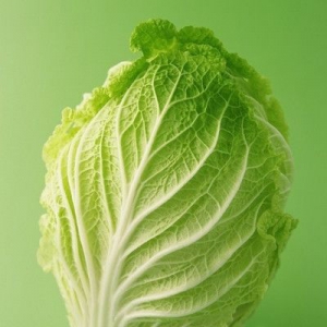 水煮白菜减肥法食谱 穷人必看日瘦1-2斤