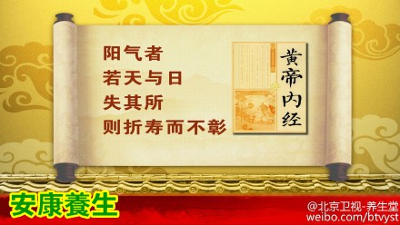 养生堂20150624视频笔记:真寒假热证 阳虚阴虚的表现 肉苁蓉粥来