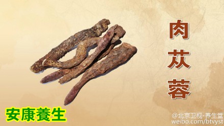 养生堂20150624视频笔记:真寒假热证 阳虚阴虚的表现 肉苁蓉粥来