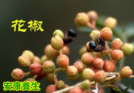 花椒