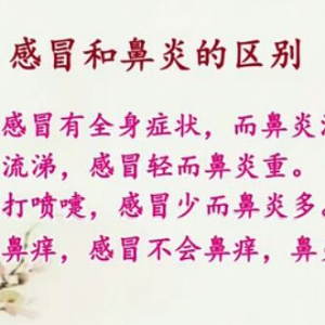 江苏卫视20151128万家灯火:艾灸扫除常见病 巧用艾灸治鼻炎 鼻炎的病因 鼻炎的预防