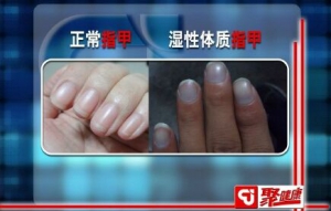 甘肃卫视20151208聚健康:漆浩讲《“掌”握茶奥秘3》
