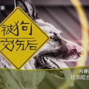 健康之路20151214笔记:《被狗咬后》狂犬病的早期表现、被狗咬伤后如何清洗伤口？
