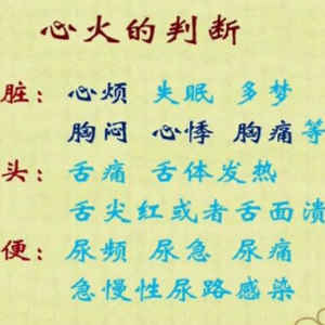 江苏卫视20160108万家灯火：导赤散、金石饮、清心火食疗方