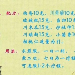 万家灯火20160112视频：固肾（下）肾虚引起腰疼的特点，