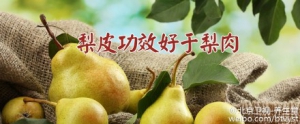 北京卫视20160118养生堂:桑杏汤、二根梨皮水、预防上火代茶饮、宣肺解毒汤