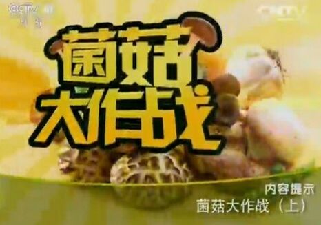 健康之路20160122视频:菌菇大作战(上)银耳能够缓解哪类咳嗽?