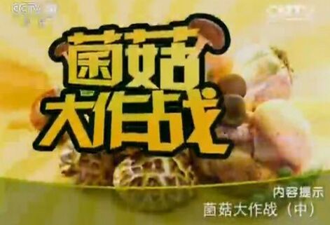 健康之路20160123视频:菌菇大作战(中)缓解失眠四竹汤、竹荪乌鸡汤