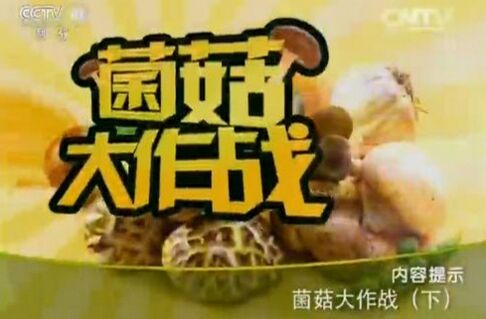健康之路20160124视频笔记:菌菇大作战(下)猴头菇、松茸汤、