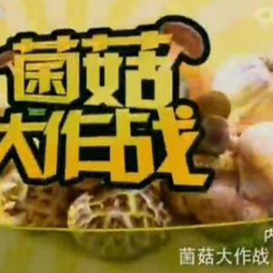 健康之路20160124视频笔记:菌菇大作战（下）猴头菇、松茸汤、猴头白花蛇舌草汤